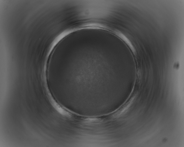 X0000101451482200807071353