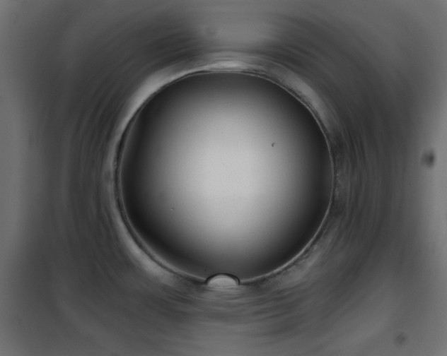 X0000101451483200807071353