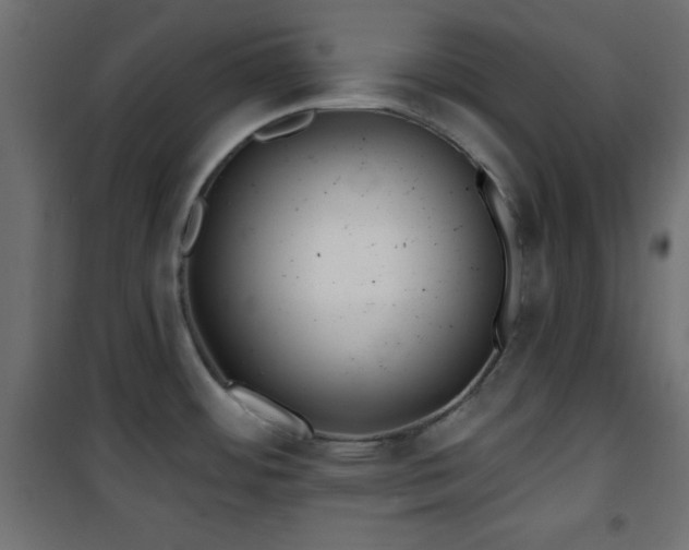 X0000101451484200807071353