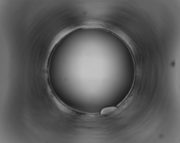 X0000101451485200807071353
