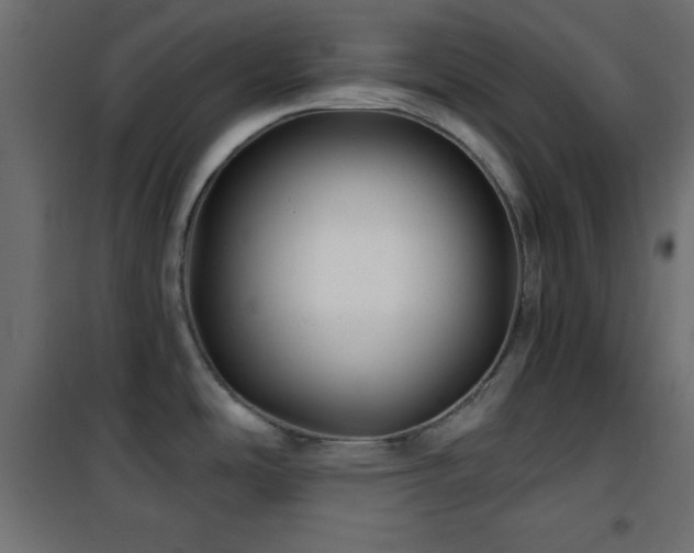X0000101451486200807071353