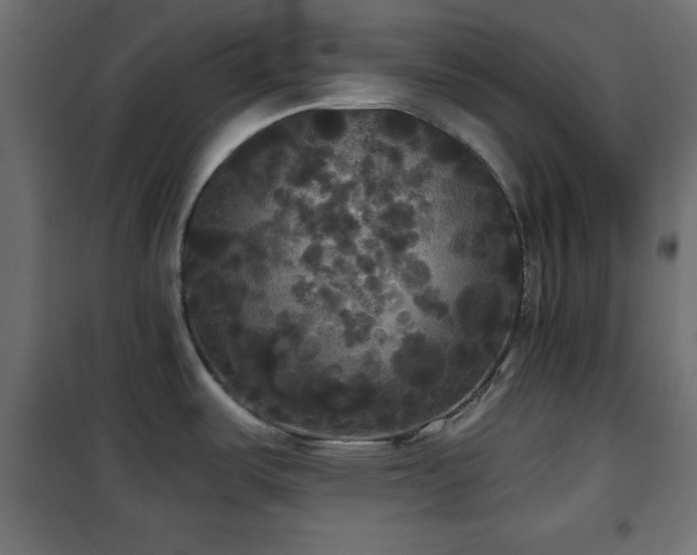 X0000101451487200807071353