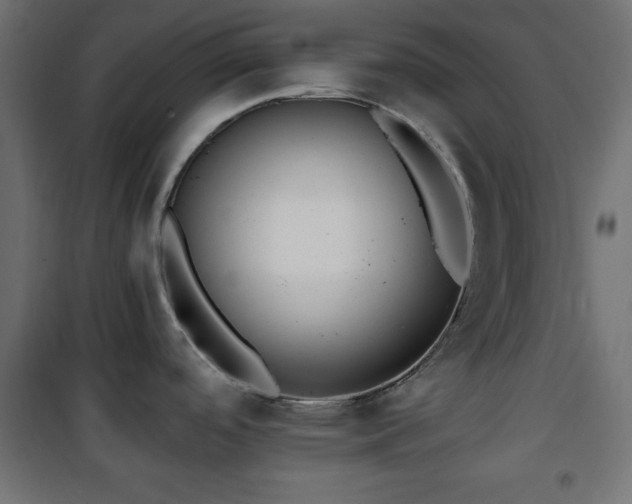 X0000101451488200807071353