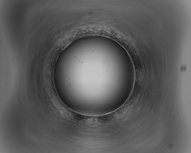 X0000101451489200807071352