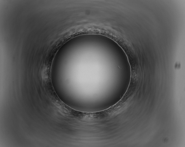 X0000101451490200807071352