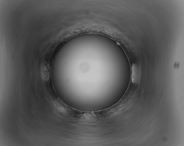 X0000101451491200807071352