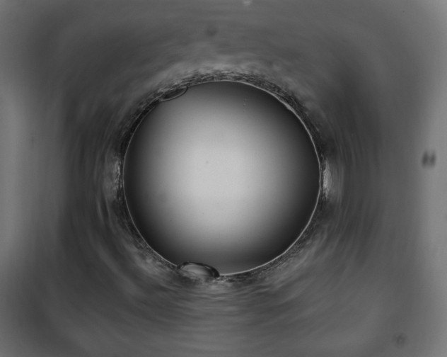 X0000101451492200807071352