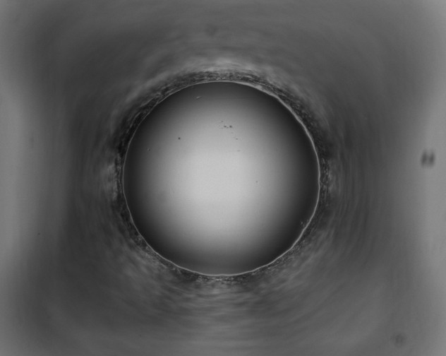 X0000101451493200807071352