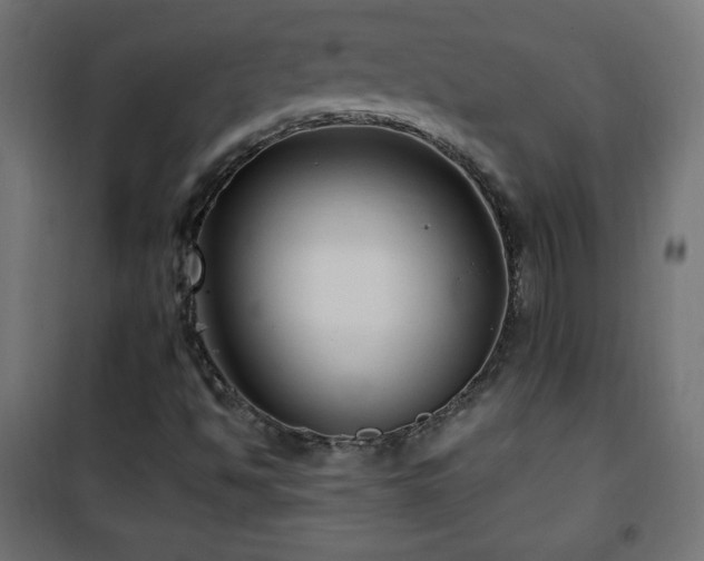X0000101451494200807071352