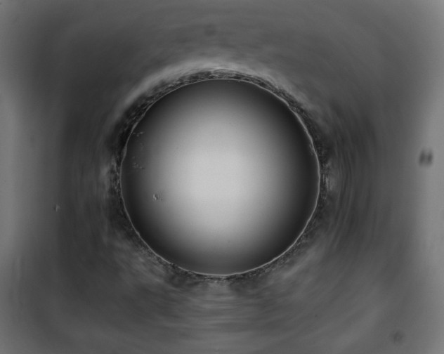 X0000101451495200807071352