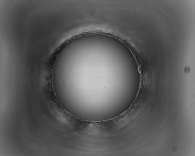 X0000101451496200807071353