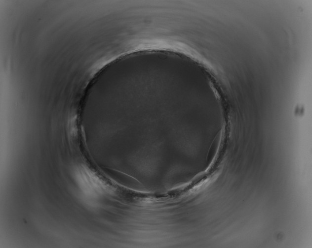 X0000101451497200807071353