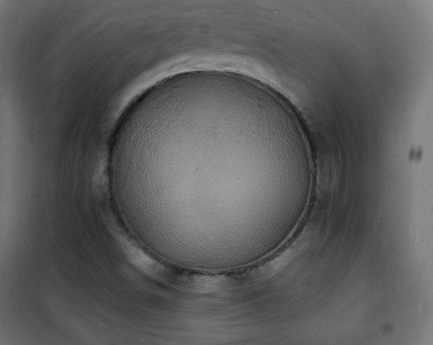 X0000101451498200807071353