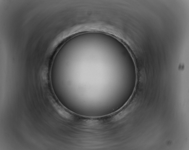 X0000101451499200807071353