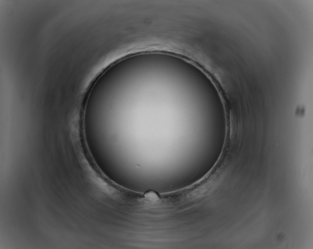X0000101451500200807071353