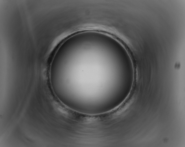 X0000101451501200807071353