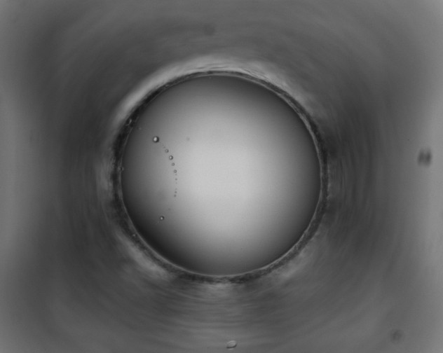 X0000101451502200807071353