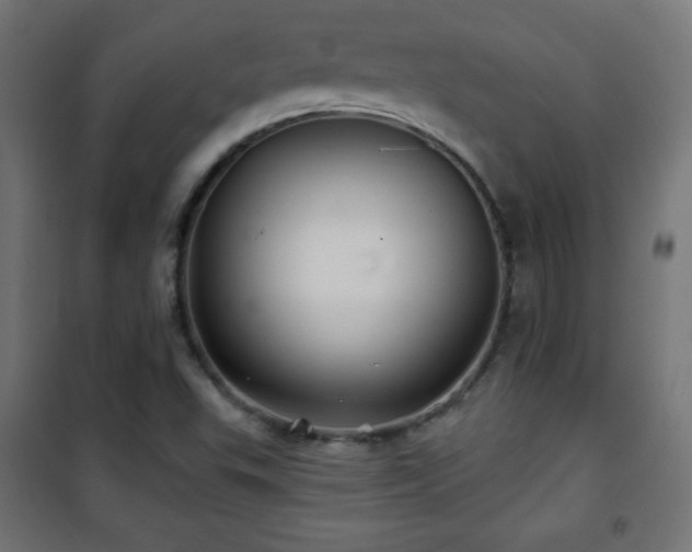 X0000101451503200807071353