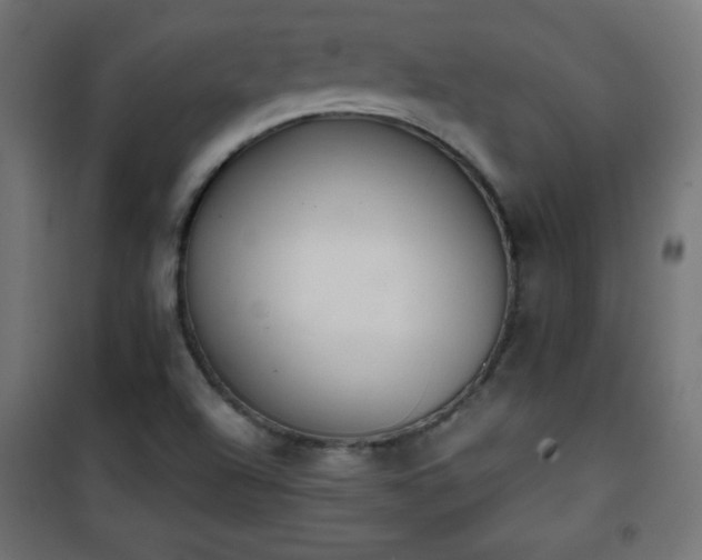 X0000101451504200807071353