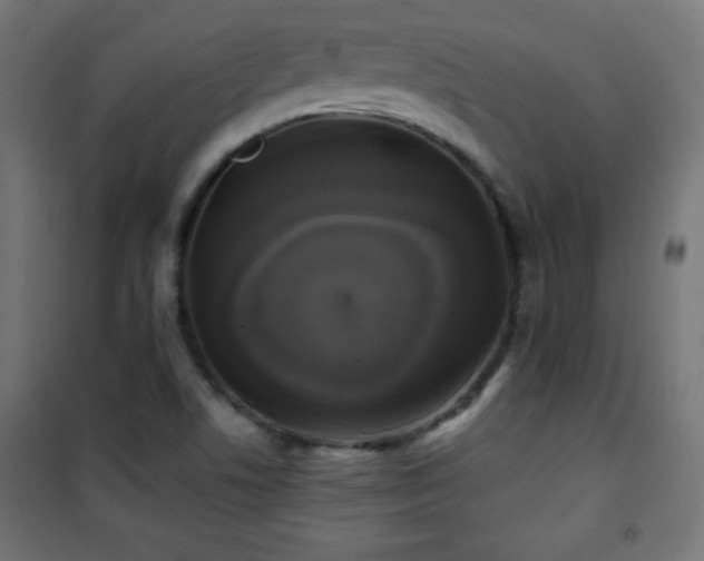 X0000101451506200807071353