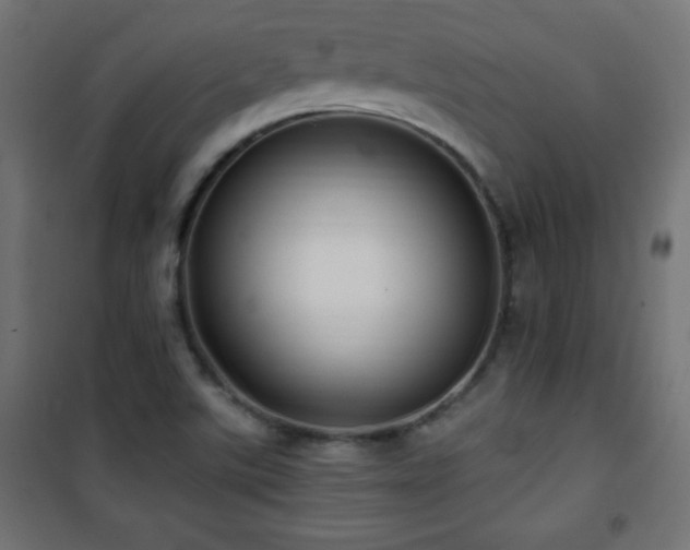 X0000101451507200807071353