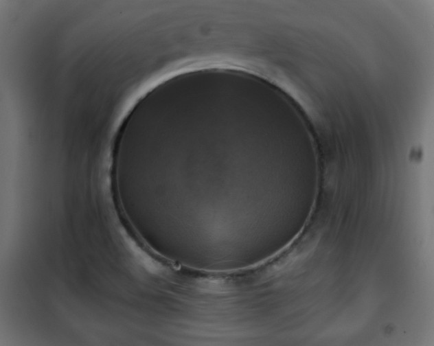 X0000101451508200807071353