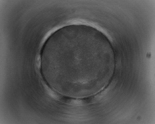 X0000101451509200807071353