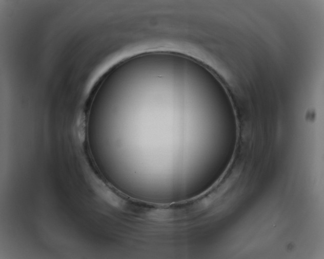 X0000101451510200807071353