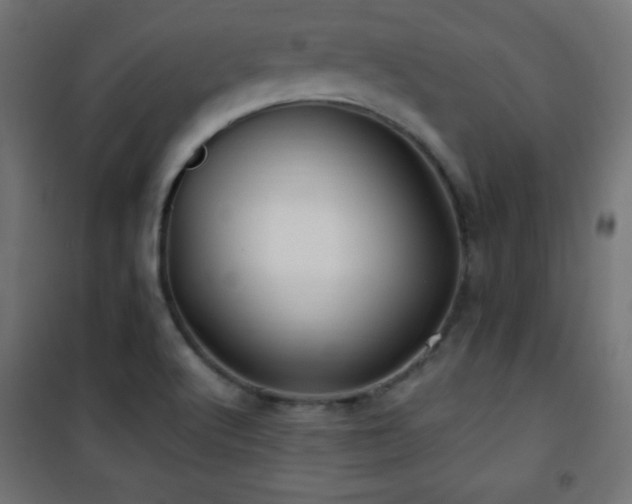 X0000101451512200807071353
