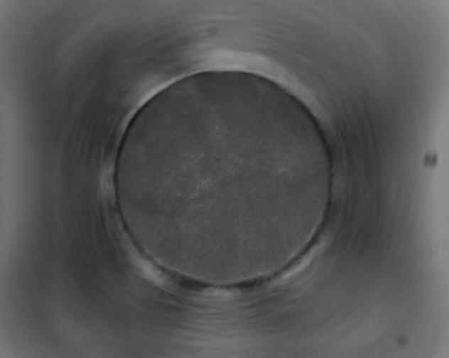 X0000101451513200807071353