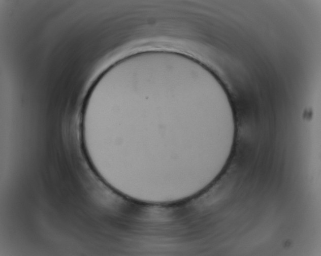 X0000101451514200807071353