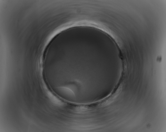 X0000101451515200807071353