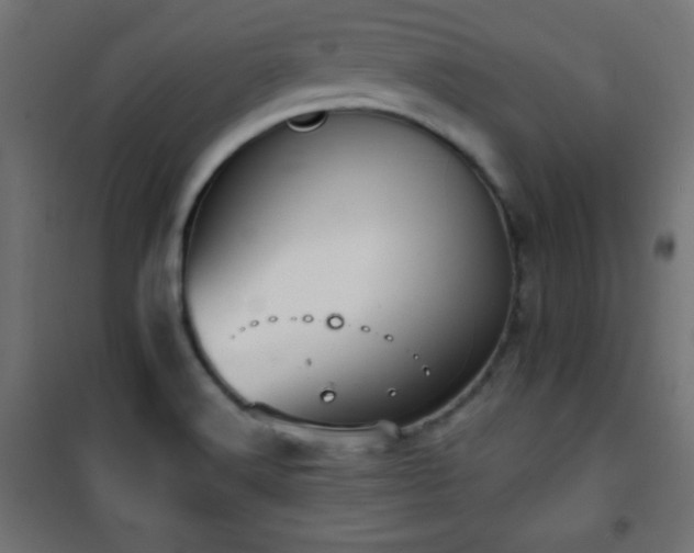X0000101451516200807071353