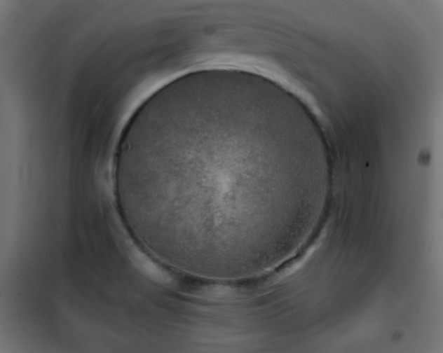 X0000101451517200807071353