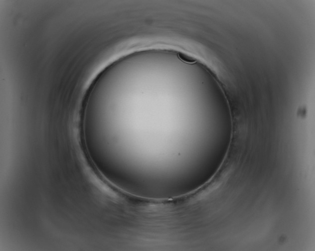 X0000101451518200807071353