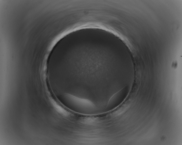 X0000101451519200807071353