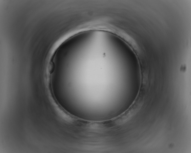 X0000101451520200807071353