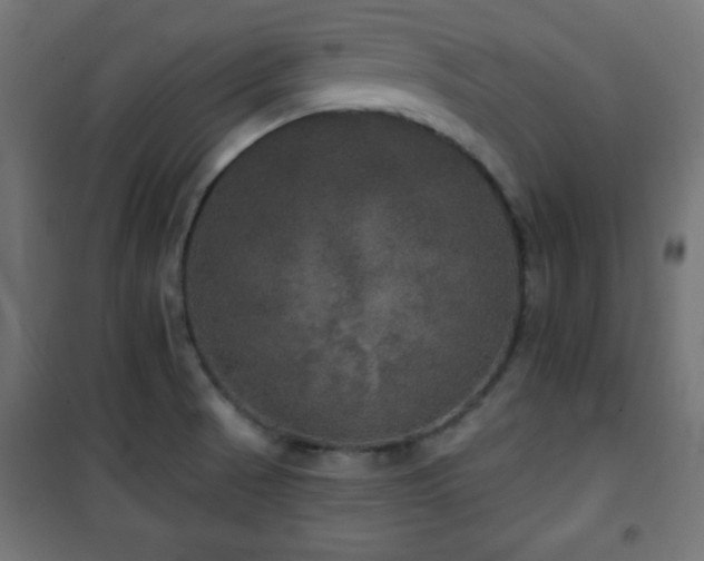 X0000101451521200807071353