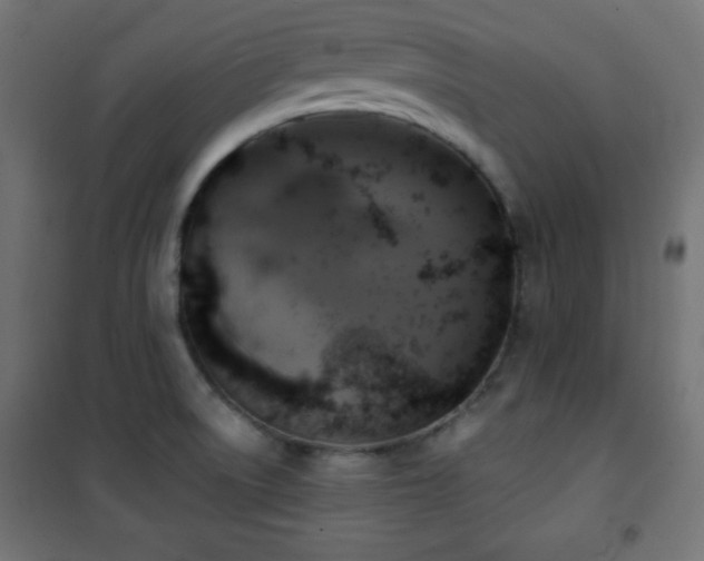 X0000101451522200807071353