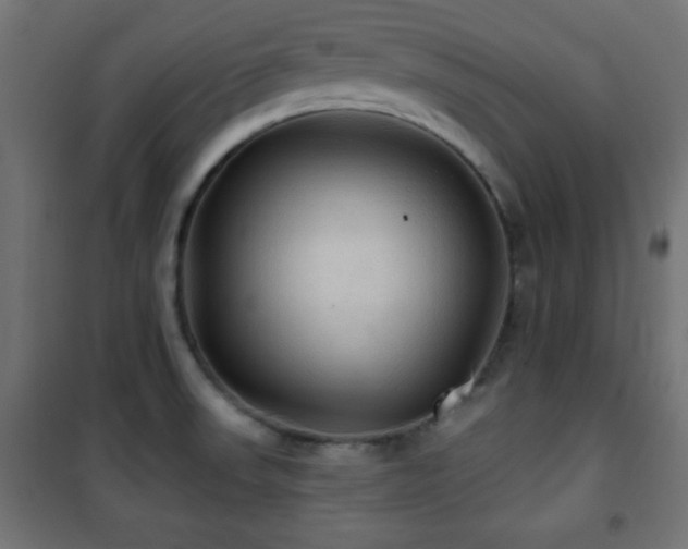 X0000101451523200807071353