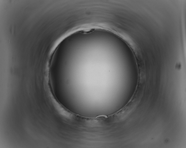 X0000101451524200807071353