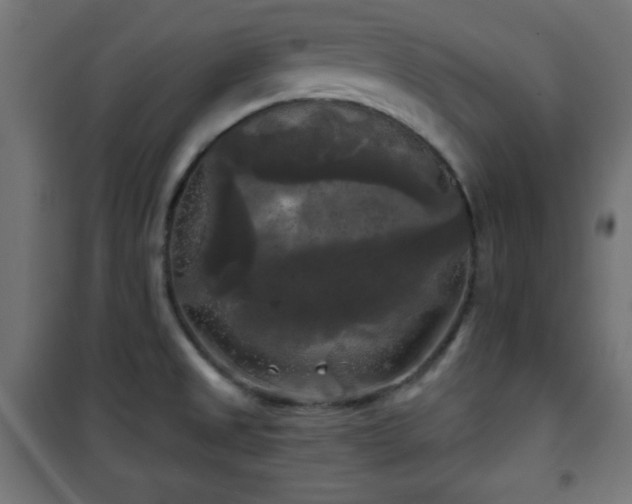 X0000101451525200807071353