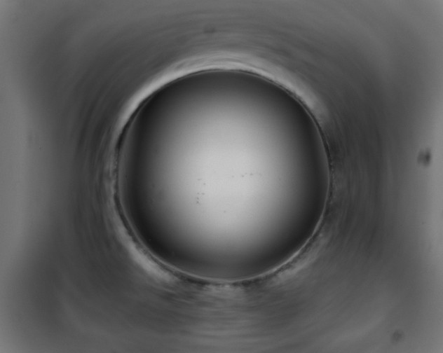 X0000101451526200807071353