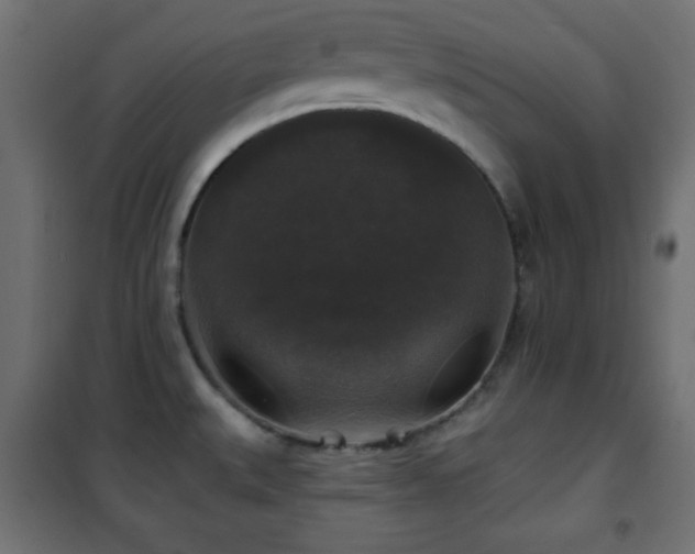 X0000101451527200807071353