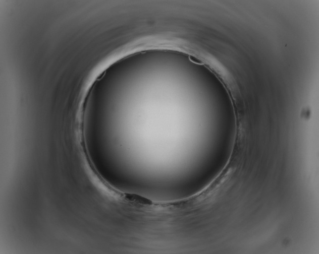 X0000101451528200807071353