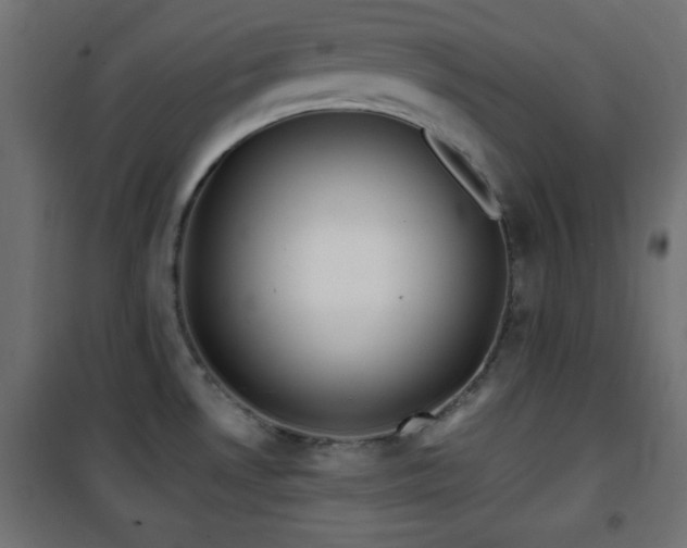 X0000101451530200807071353