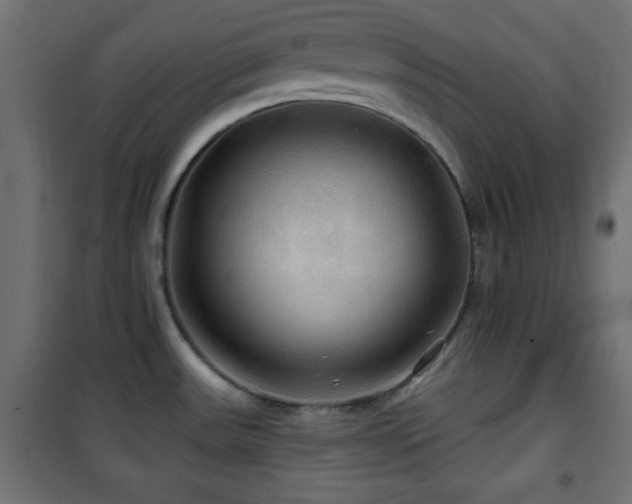 X0000101451531200807071353
