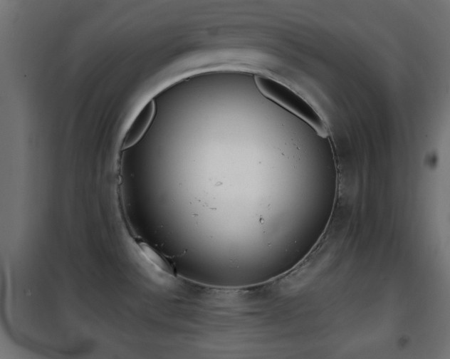 X0000101451532200807071353
