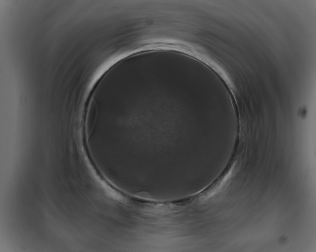 X0000101451533200807071353