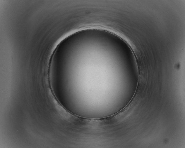 X0000101451534200807071353